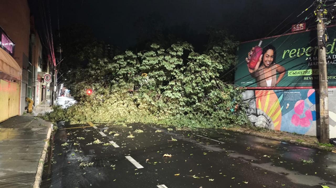Foto 28 de 67 — TEMPORAL EM FOTOS: veja imagens de destruição em Araraquara